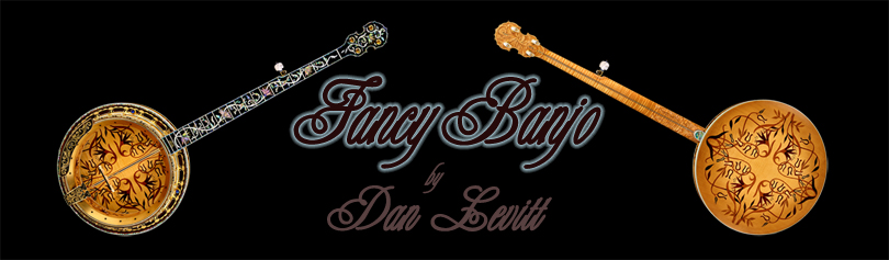 Title: Fancy Banjo by Dan Levitt